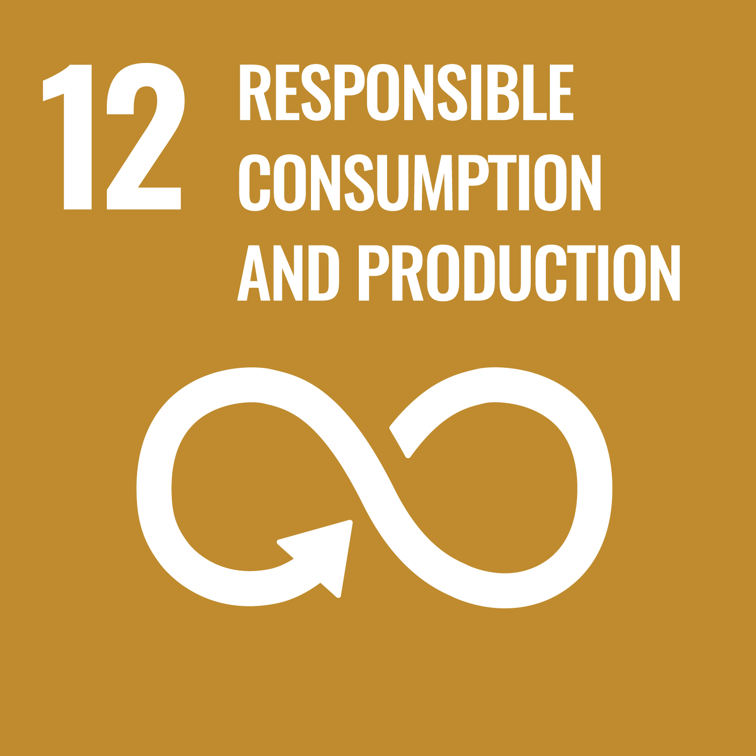 RESPONSIBLE CONSUMPTION & PRODUCTION